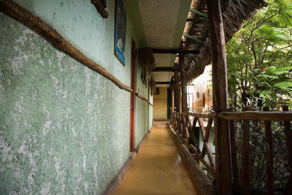 פדרנאלס Hostal Dona Chava מראה חיצוני תמונה