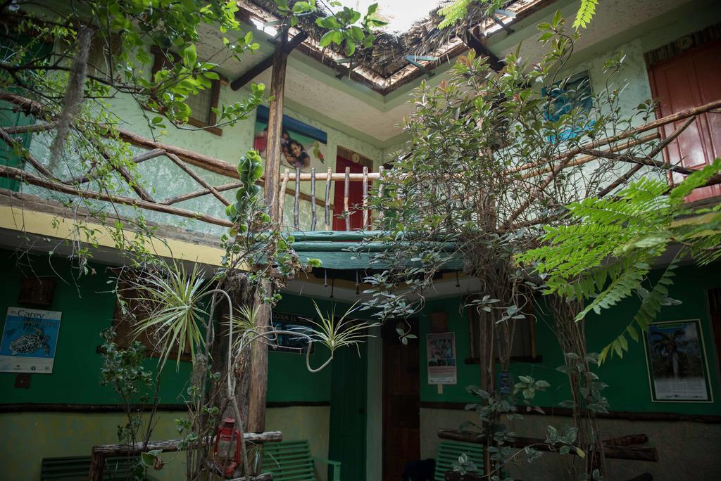 פדרנאלס Hostal Dona Chava מראה חיצוני תמונה